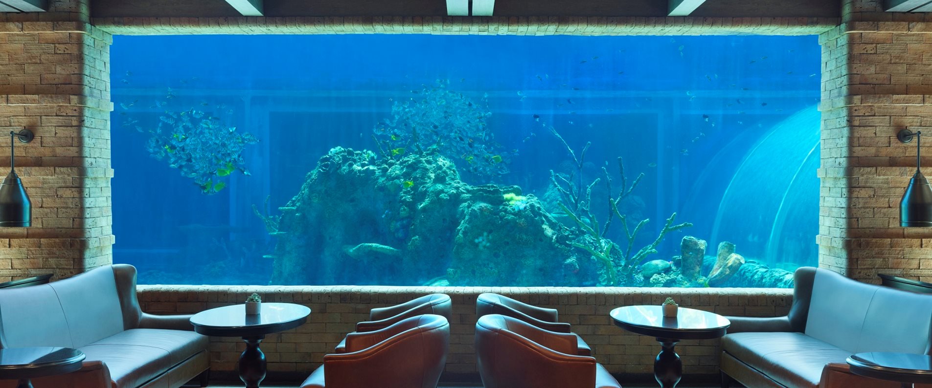 網美必訪峇里島五日｜水族館餐廳、斷崖下午茶、梯田鞦韆、SPA網美之旅