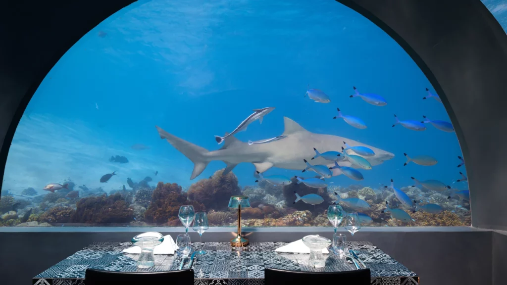 馬爾地夫H2O水下餐廳的美食週活動