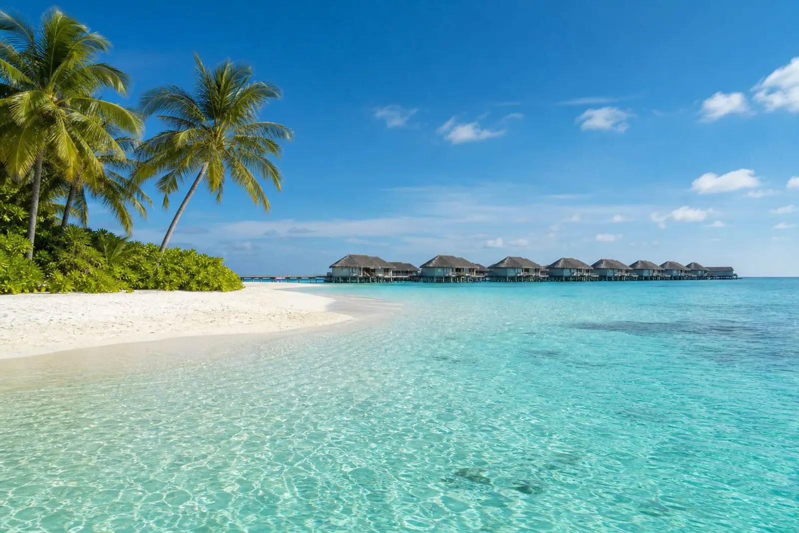 馬爾地夫旱季水上屋與清澈潟湖景色