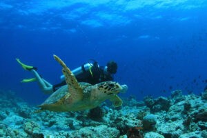 馬爾地夫阿米拉 Amilla Fushi Maldives