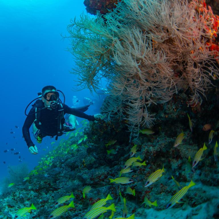 馬爾地夫費爾蒙度假村 Fairmaont Maldives