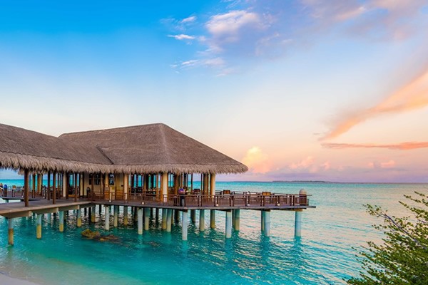 馬爾地夫神仙珊瑚島度假村 Hideaway Resort Maldives