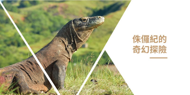 Komodo科摩多島旅遊行程推薦