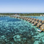 馬爾地夫美居庫杜島 Mercure Maldives