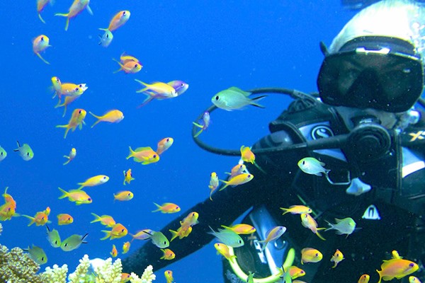 馬爾地夫希爾頓格芮 SAii Lagoon Maldives by Hilton