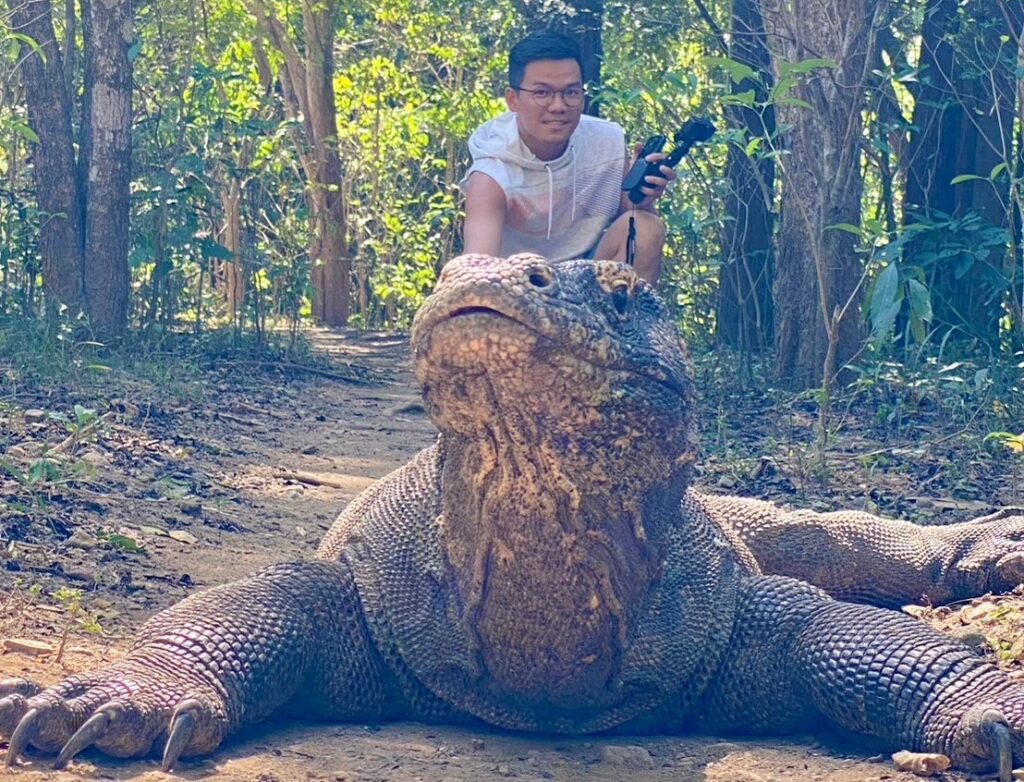 Komodo科摩多島旅遊行程推薦