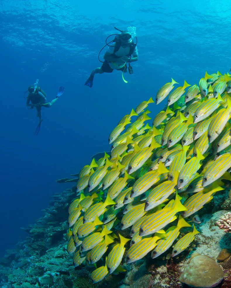 馬爾地夫六善卡努呼拉島 Six Senses Kanuhura Maldives