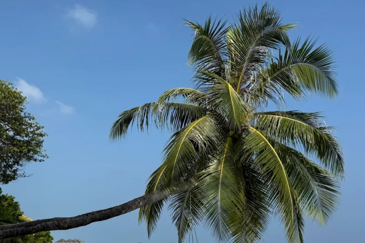 推薦博海旅行社、Cassie以及LUX渡假村!