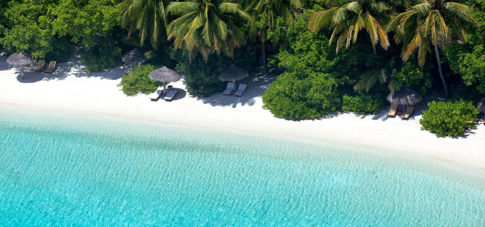 Baros Maldives 白沙灘、植被與碧藍潟湖