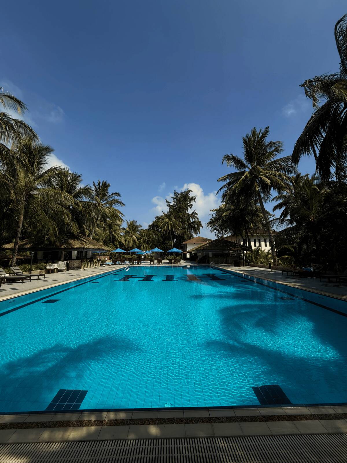 Hulhule Island Hotel 戶外泳池