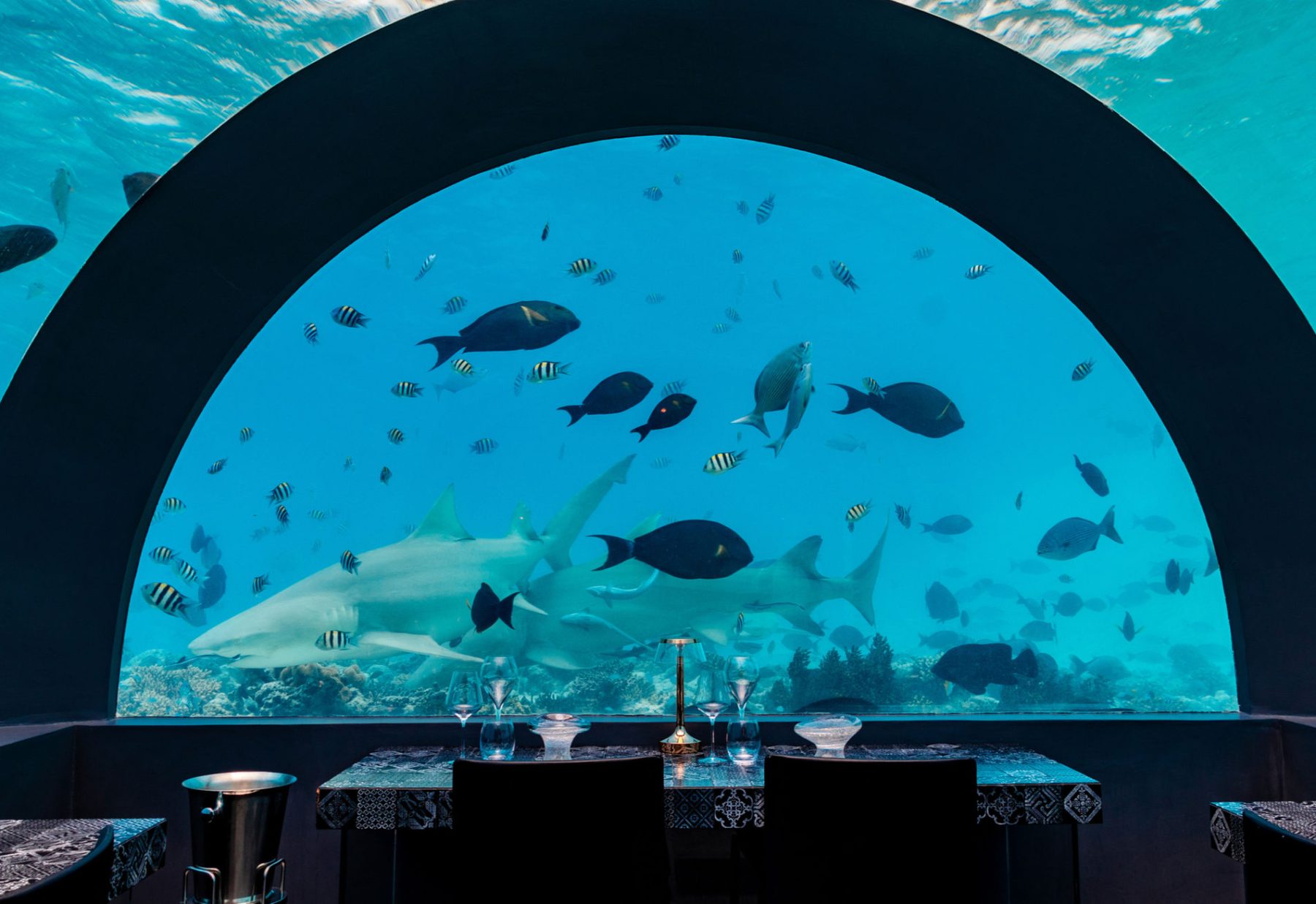 H2O 海底餐廳