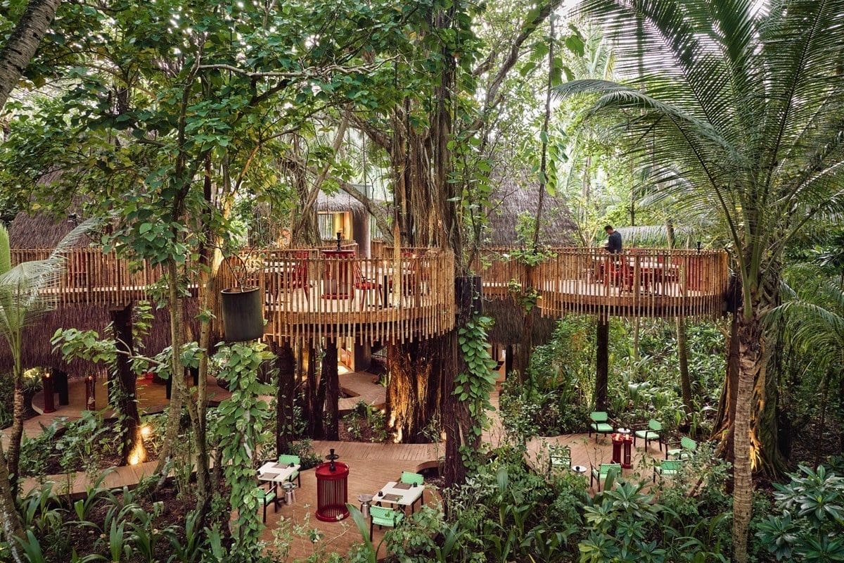 Nest 樹屋餐廳