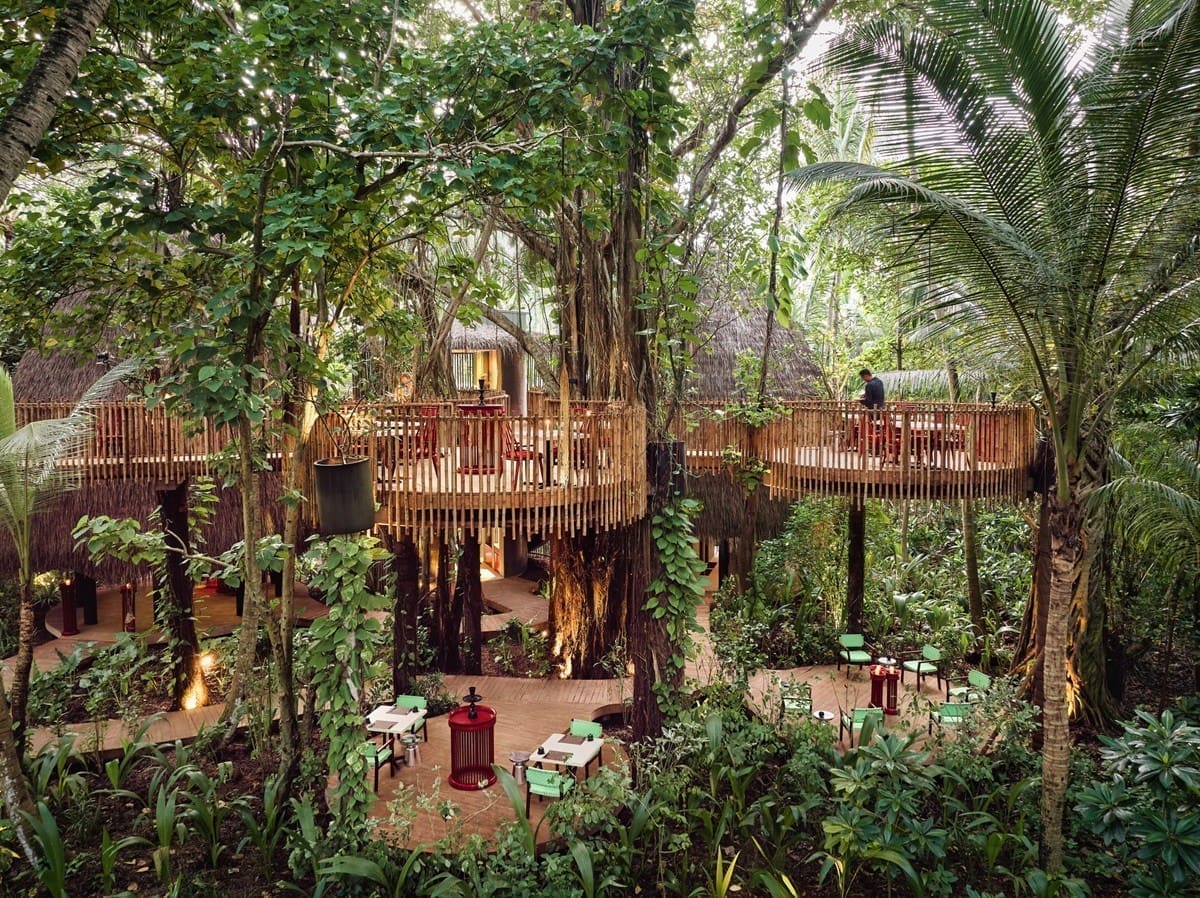 Nest 樹屋餐廳