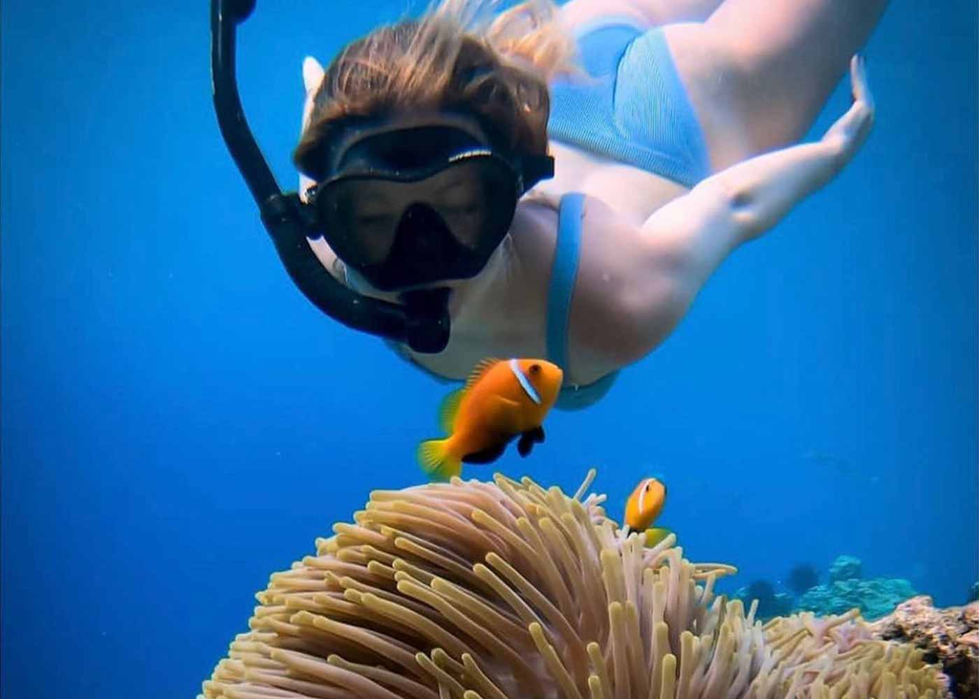 浮潛與小丑魚