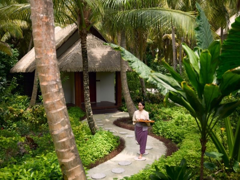 樹上水療屋 Devarana