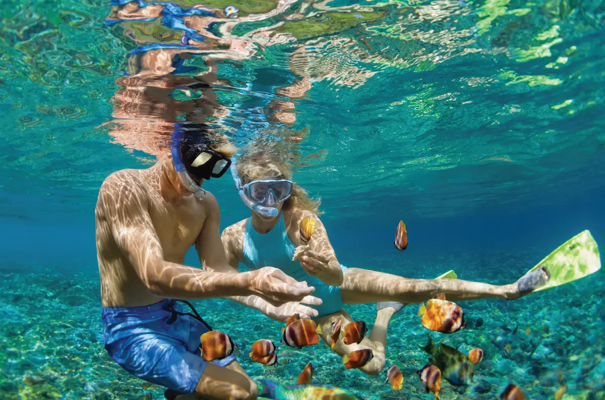 浮潛與海底世界