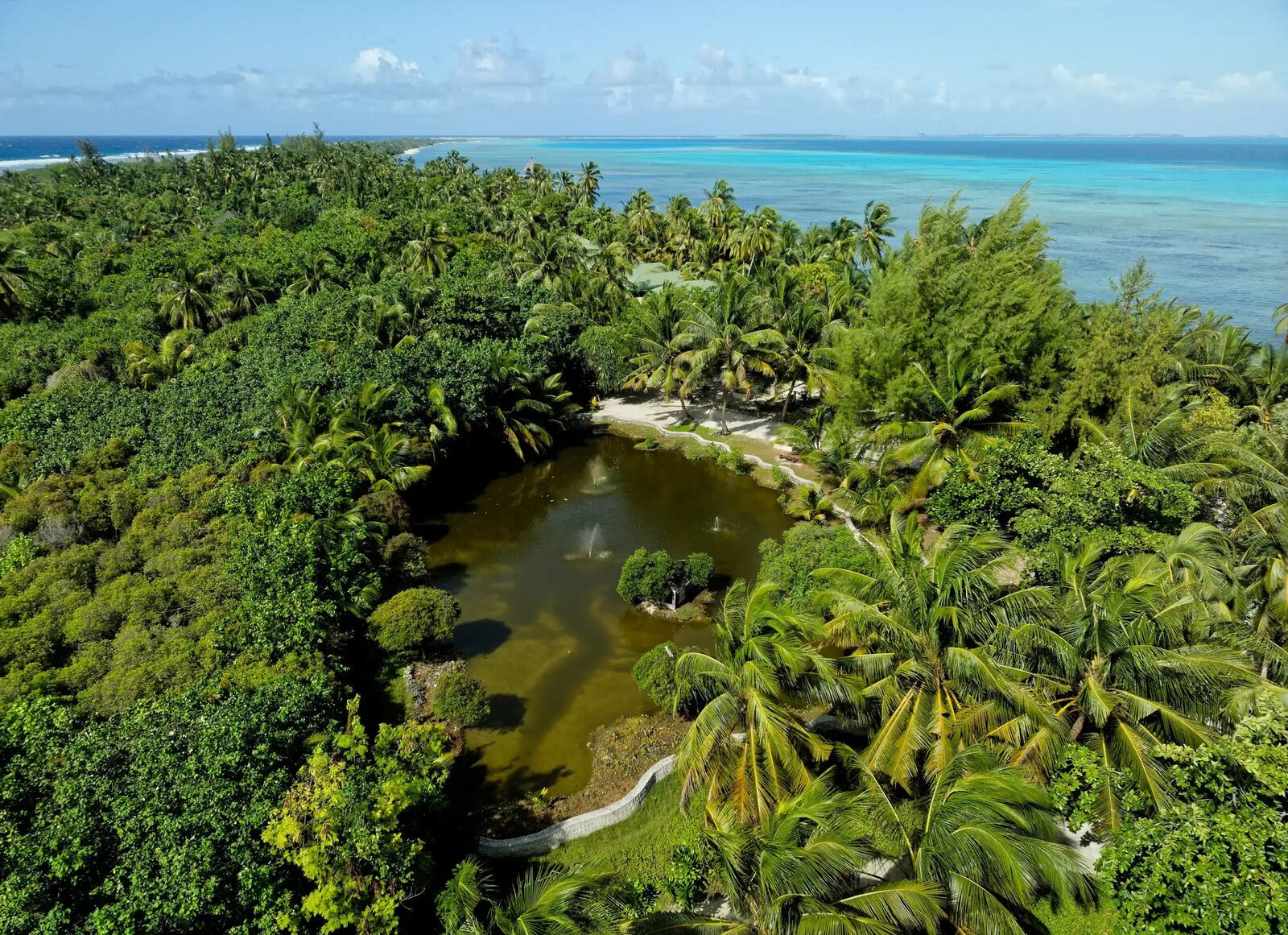 Canareef Resort Maldives 島內天然濕地與植被空拍