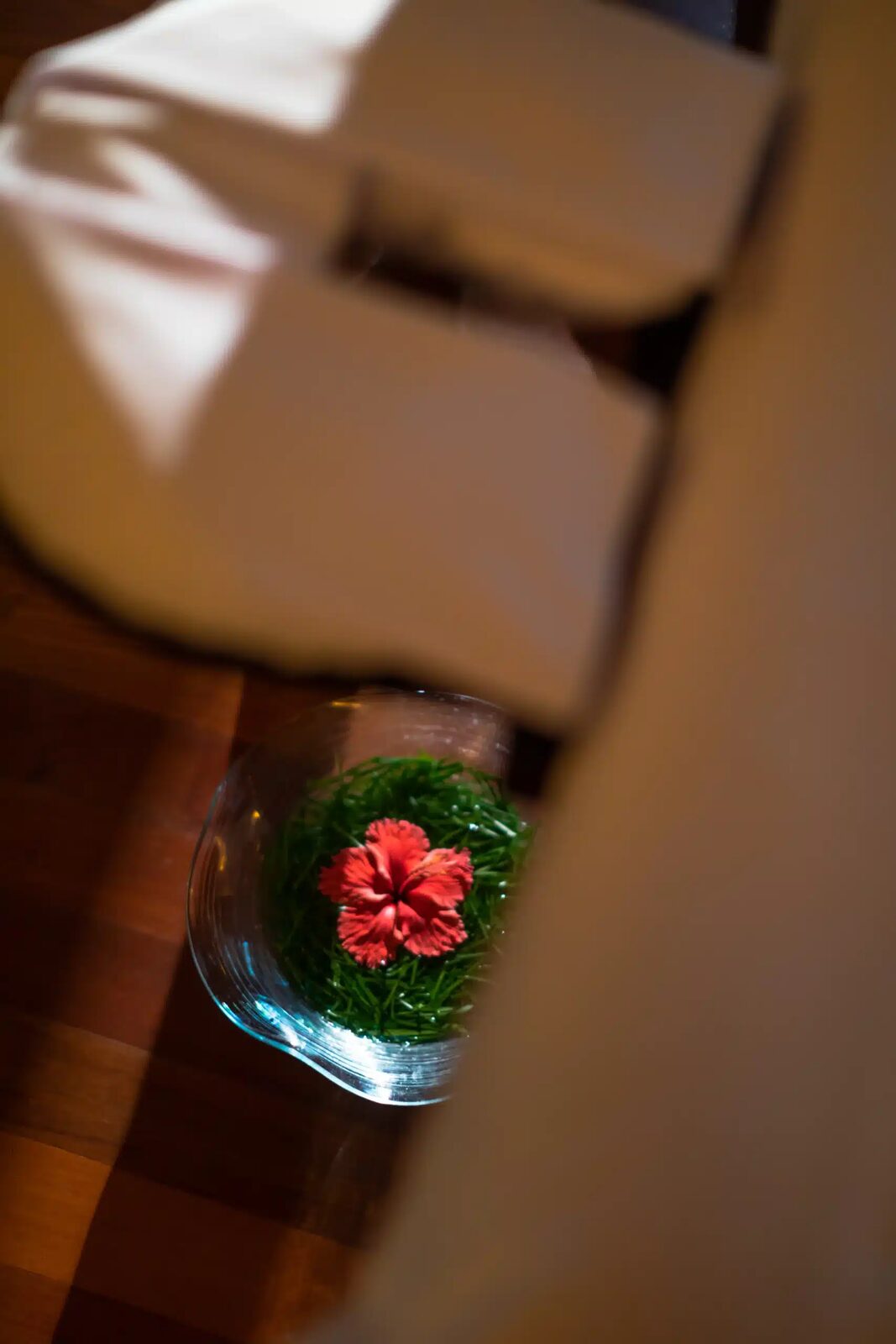 Canareef Resort Maldives Spa 按摩療程