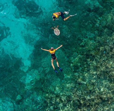 Club Med 芬尼芙旅客在珊瑚礁浮潛