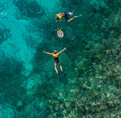 Club Med 卡尼島浮潛與珊瑚礁