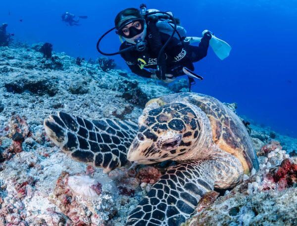 COMO Cocoa Island Como Cocoa House Reef