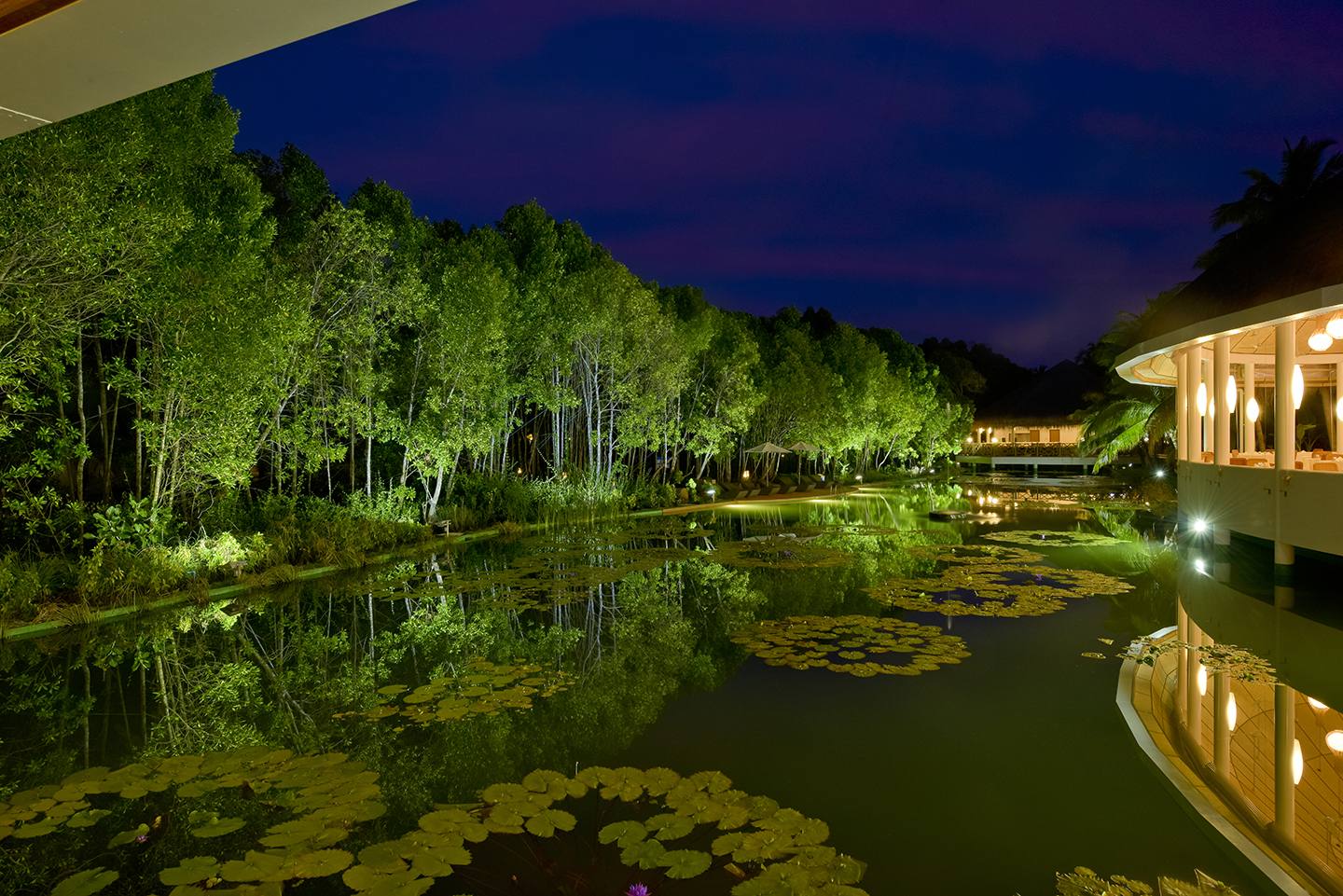 Dreamland Lake Bar 湖畔酒吧