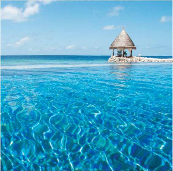 Taj Coral Reef Maldives 屋礁與潟湖