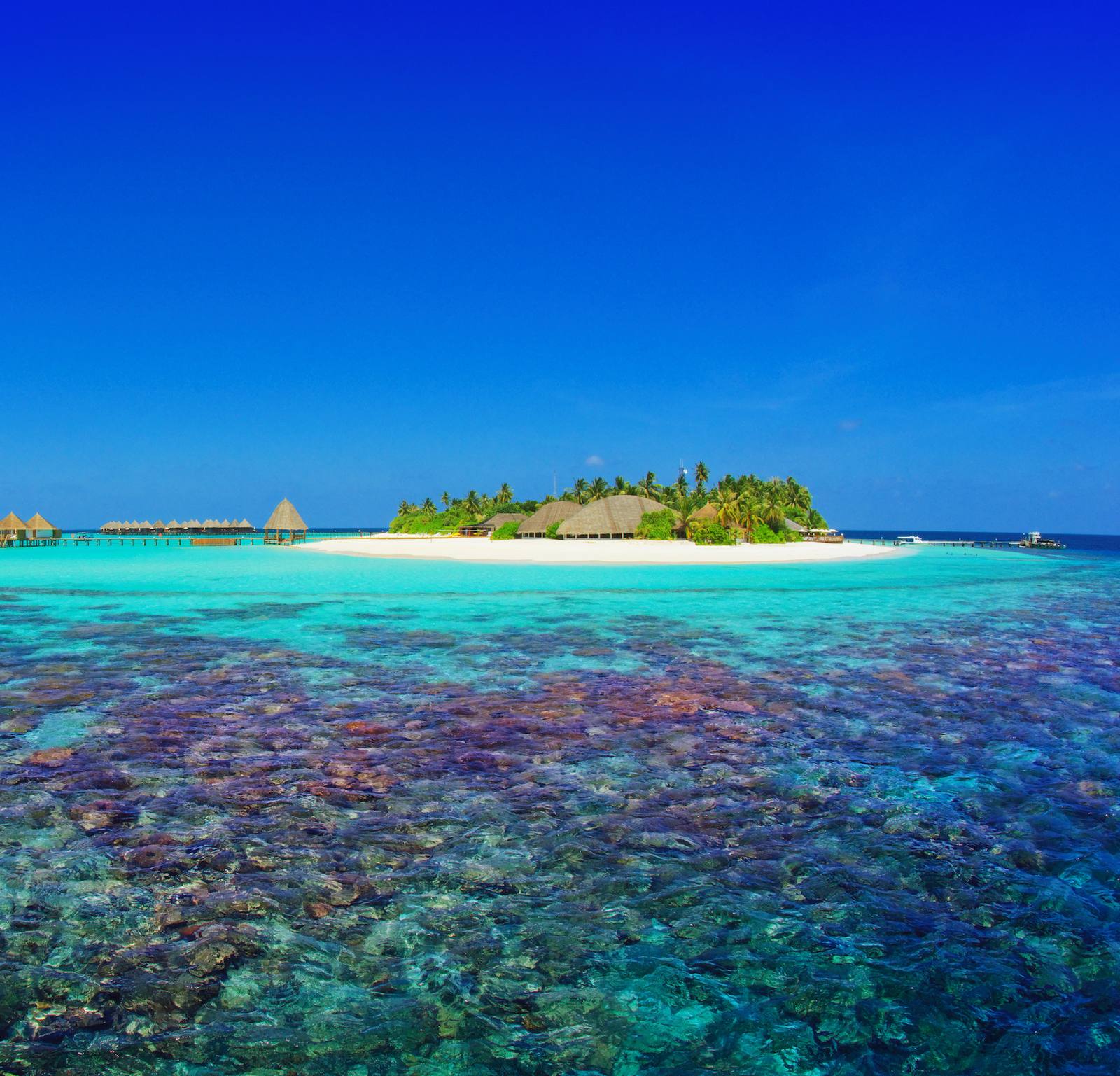 Angaga Island Resort 島嶼與環礁空拍