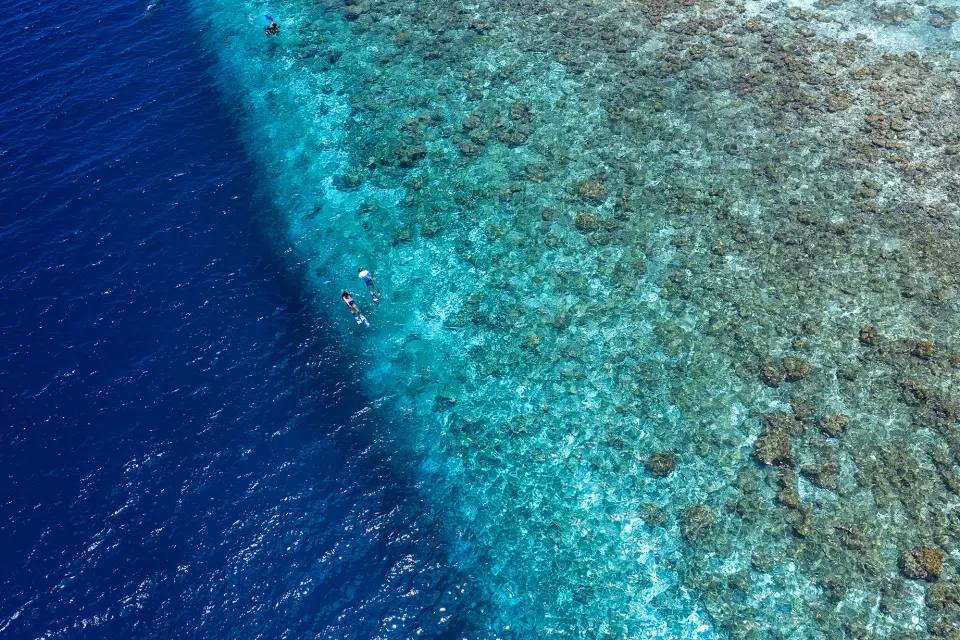 NIVA Kurumba Maldives 屋礁浮潛