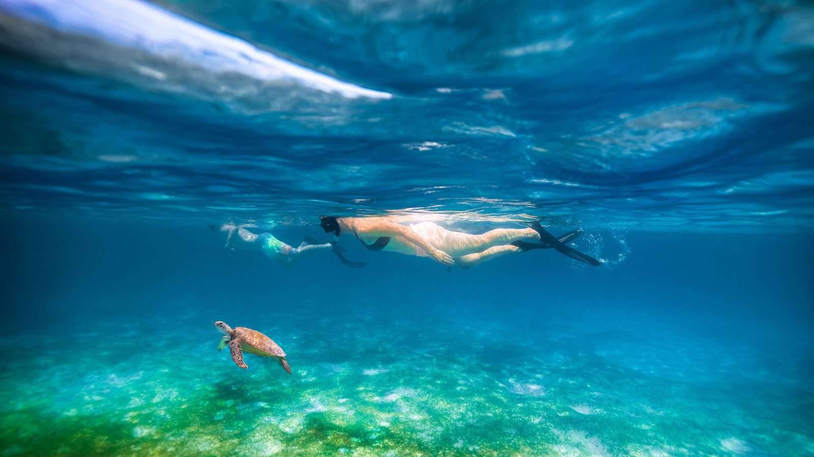 Kuredu 海龜浮潛
