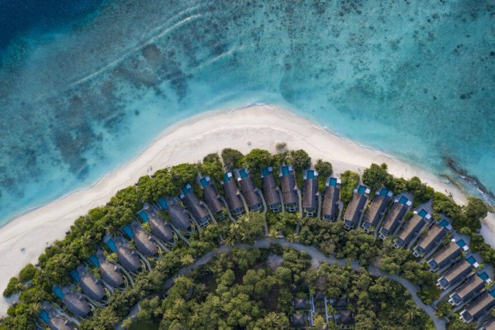 馬爾地夫芙拉薇莉度假村 Furaveri Maldives