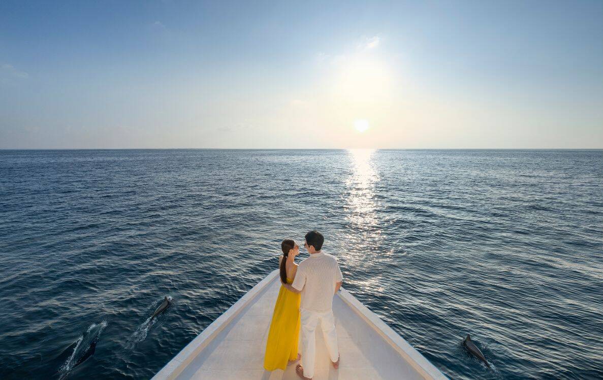 The Halcyon 海豚巡航與夕陽