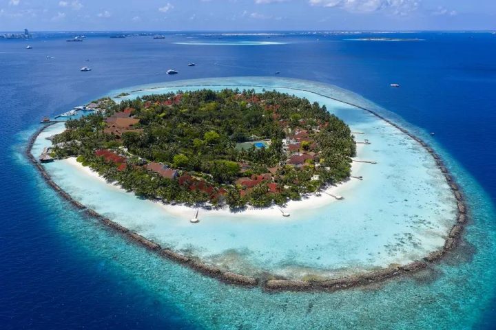 馬爾地夫 NIVA 庫倫巴度假村 NIVA Kurumba Maldives