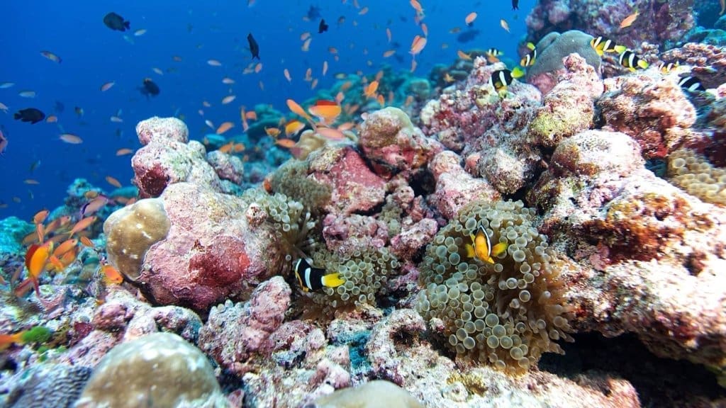 準備出海的潛水員