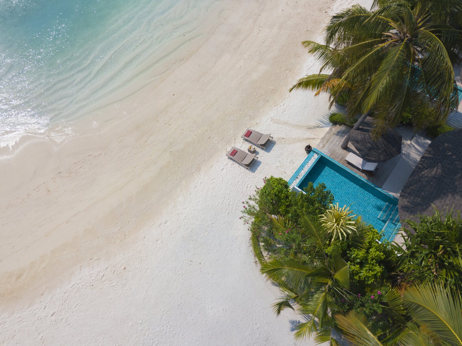 Machchafushi Island Resort & Spa Maldives 沙灘泳池別墅