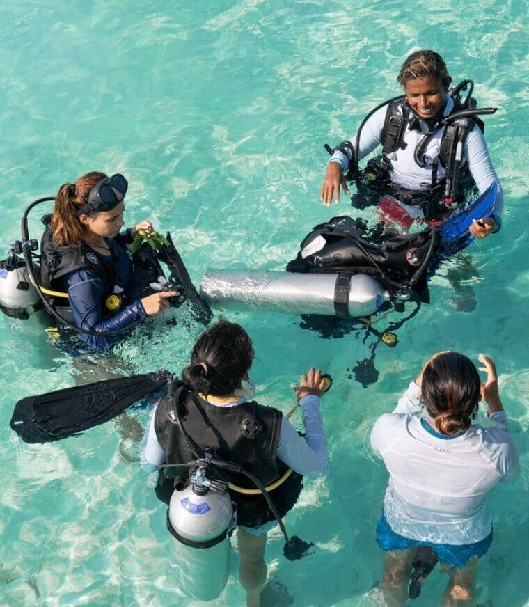 Nova Maldives 潛水活動