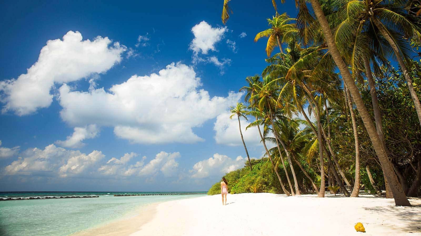 Kuredu Resort Maldives 白沙灘