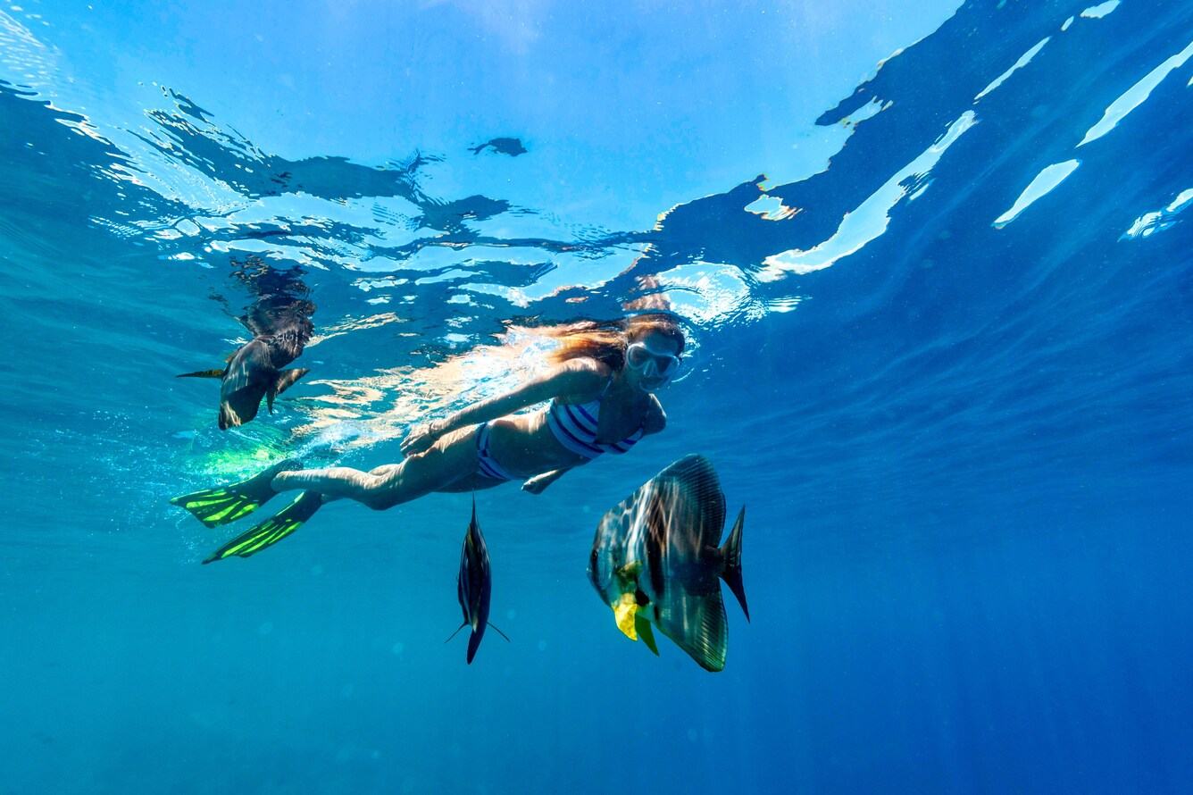 Sheraton Maldives 島邊浮潛