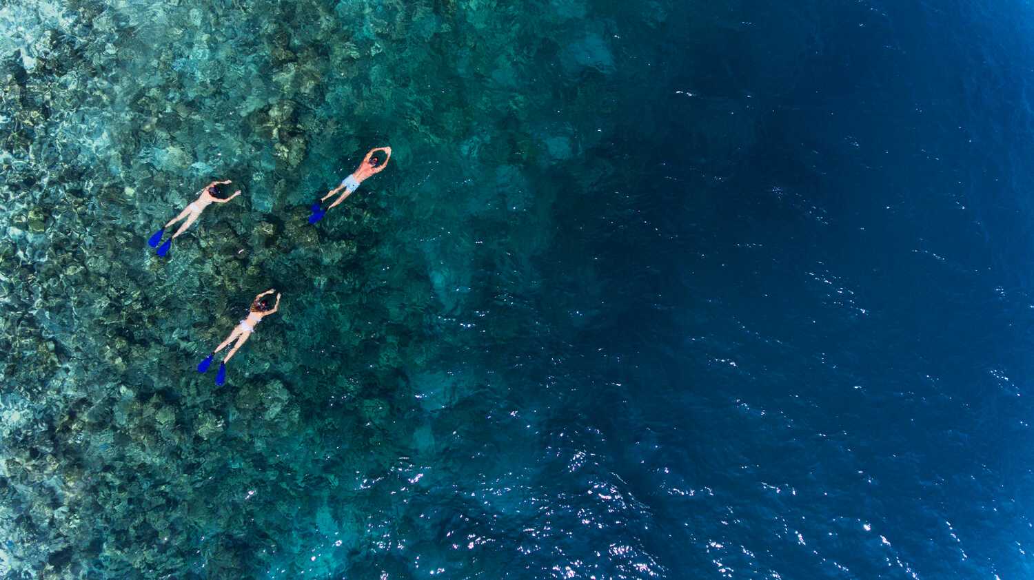 浮潛