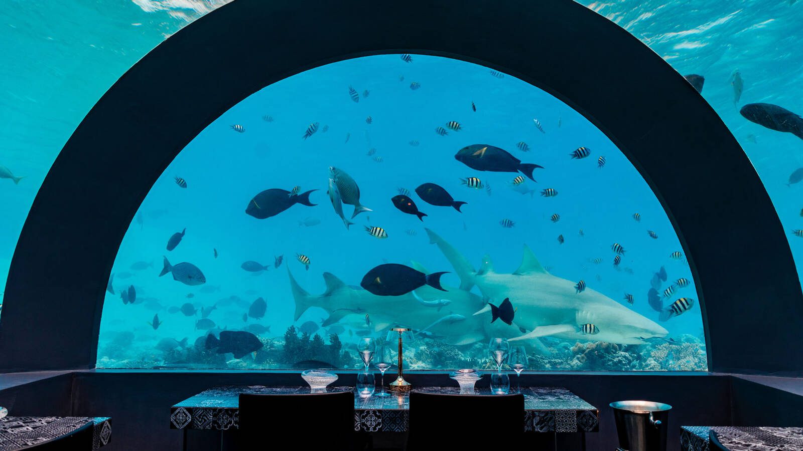You and Me H2O 海底餐廳