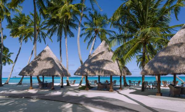 Shangri-La Villingili 沙灘涼亭與椰林