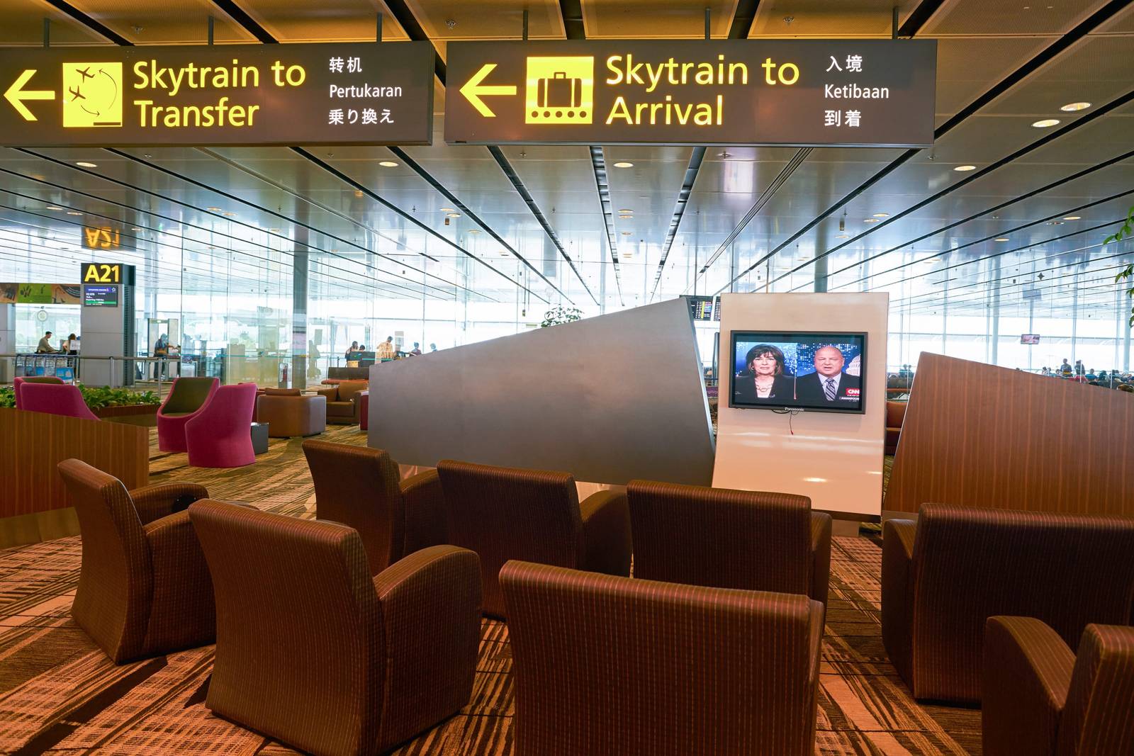 樟宜機場指標左為 Skytrain to Transfer 轉機、右為 Skytrain to Arrival 入境