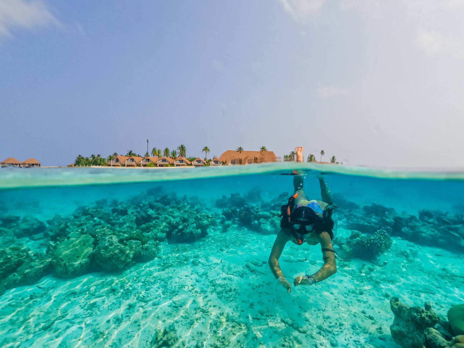 Cinnamon Velifushi 島礁浮潛