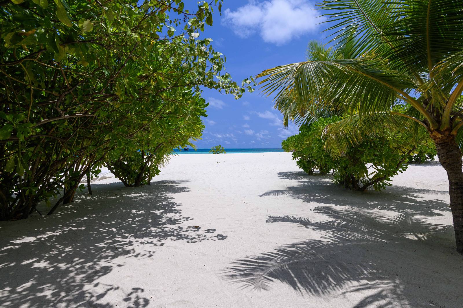 Diamonds Thudufushi 白沙灘小徑