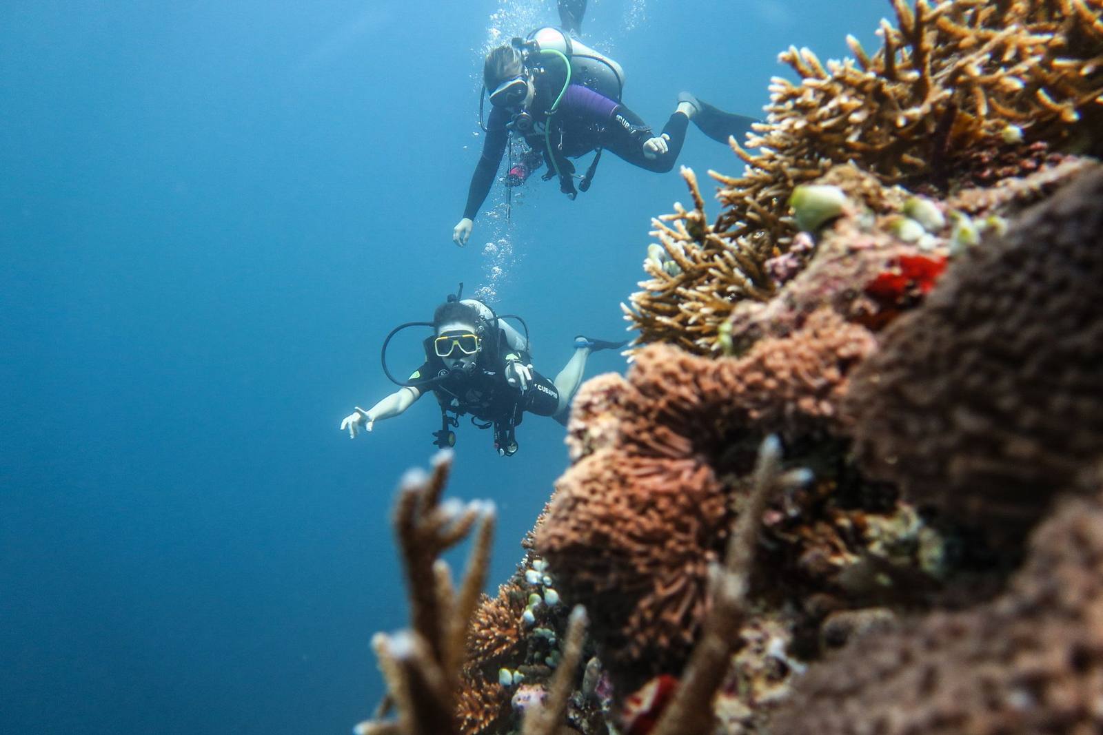 Fihalhohi Maldives Fiha Dive 珊瑚礁潛水