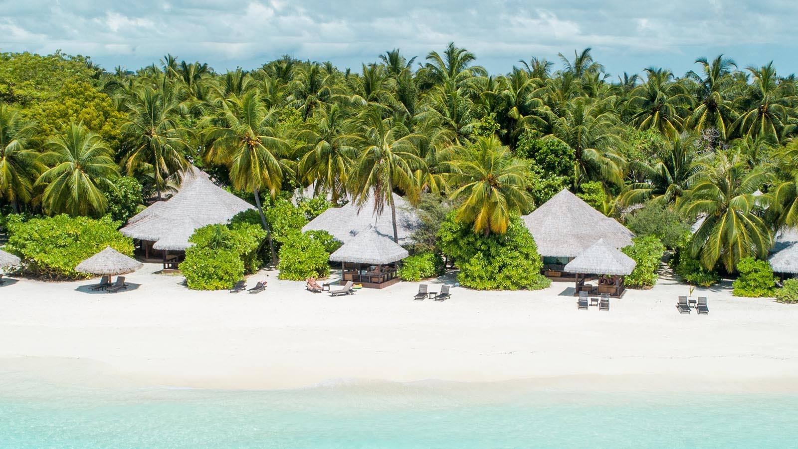 Kihaa Maldives 海灘別墅與椰林