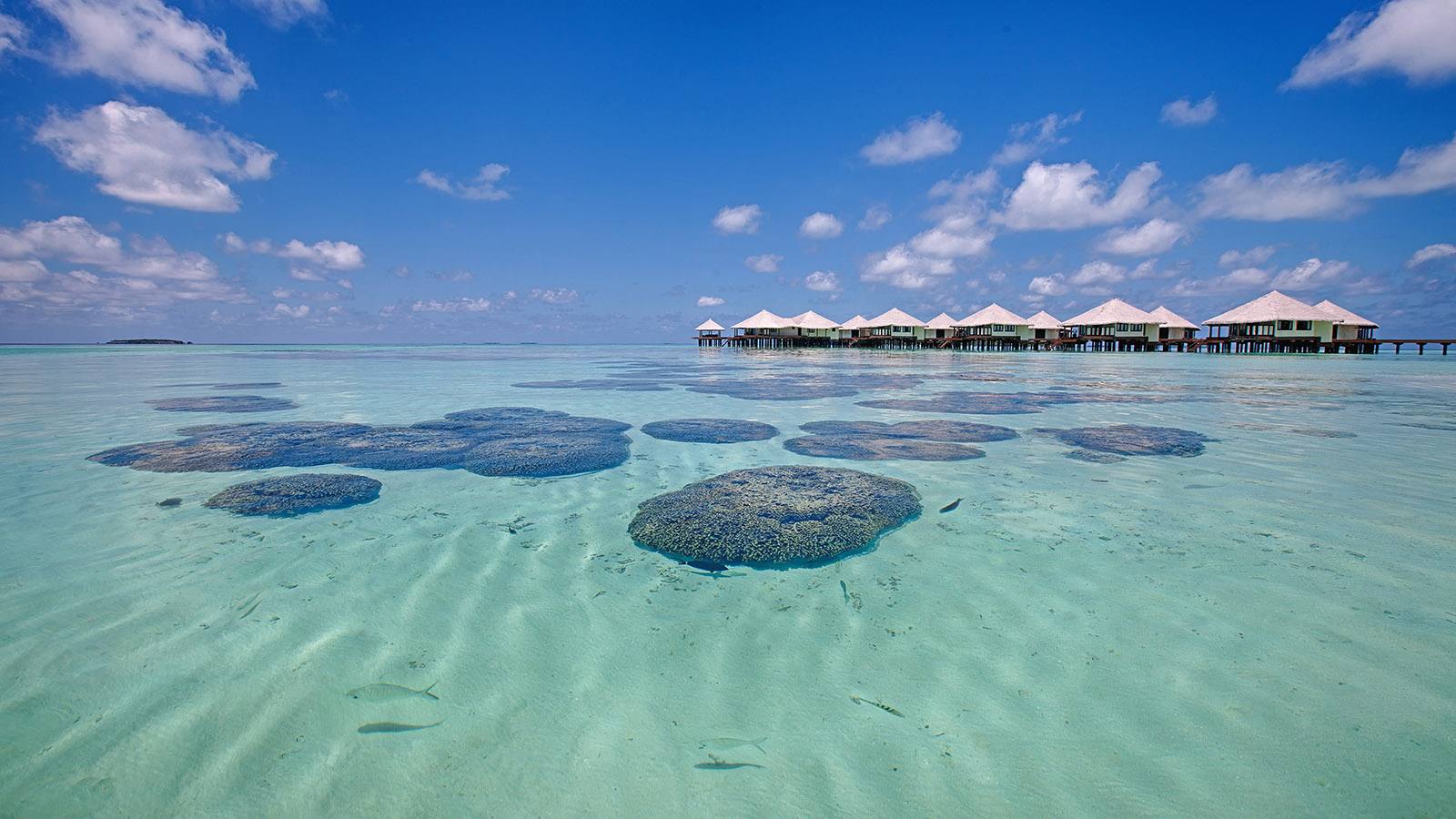 Kihaa Maldives 潟湖與水上別墅