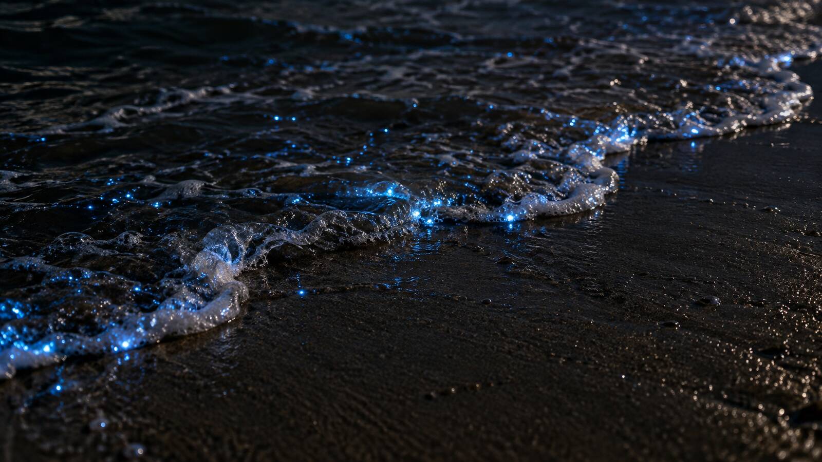 夜晚浪花中的細小藍色夜光浮游生物示意