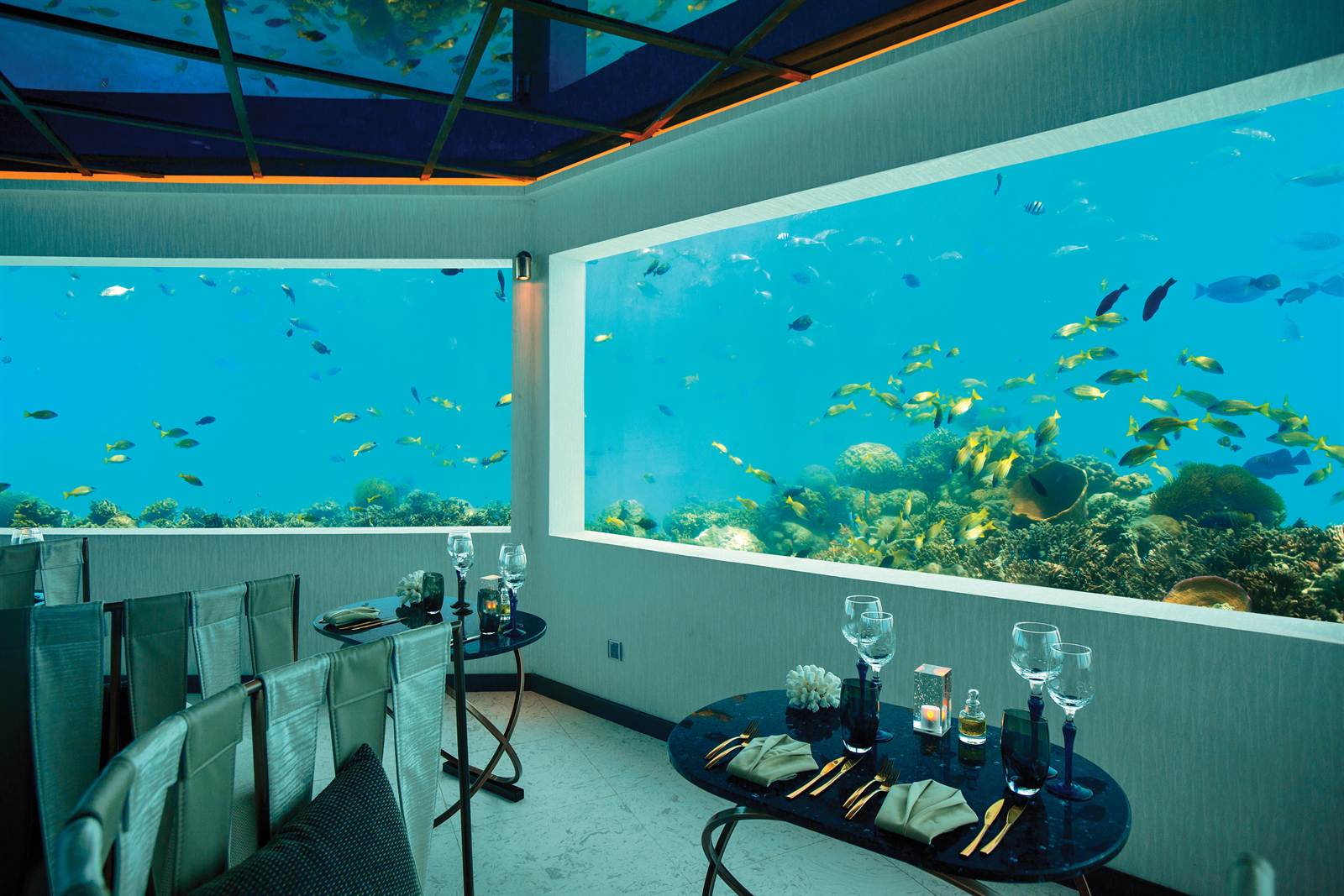 OZEN LIFE MAADHOO M6m 海底餐廳內部與窗外珊瑚魚群