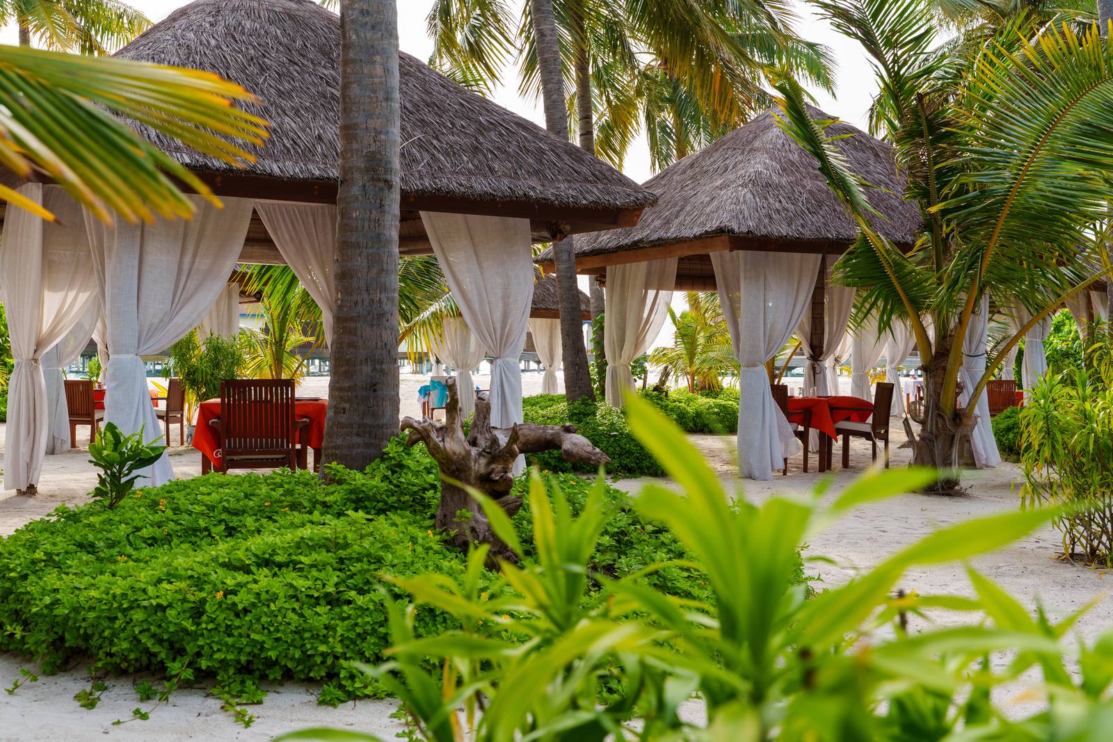 Reethi Faru Reethi Grill 海灘小屋